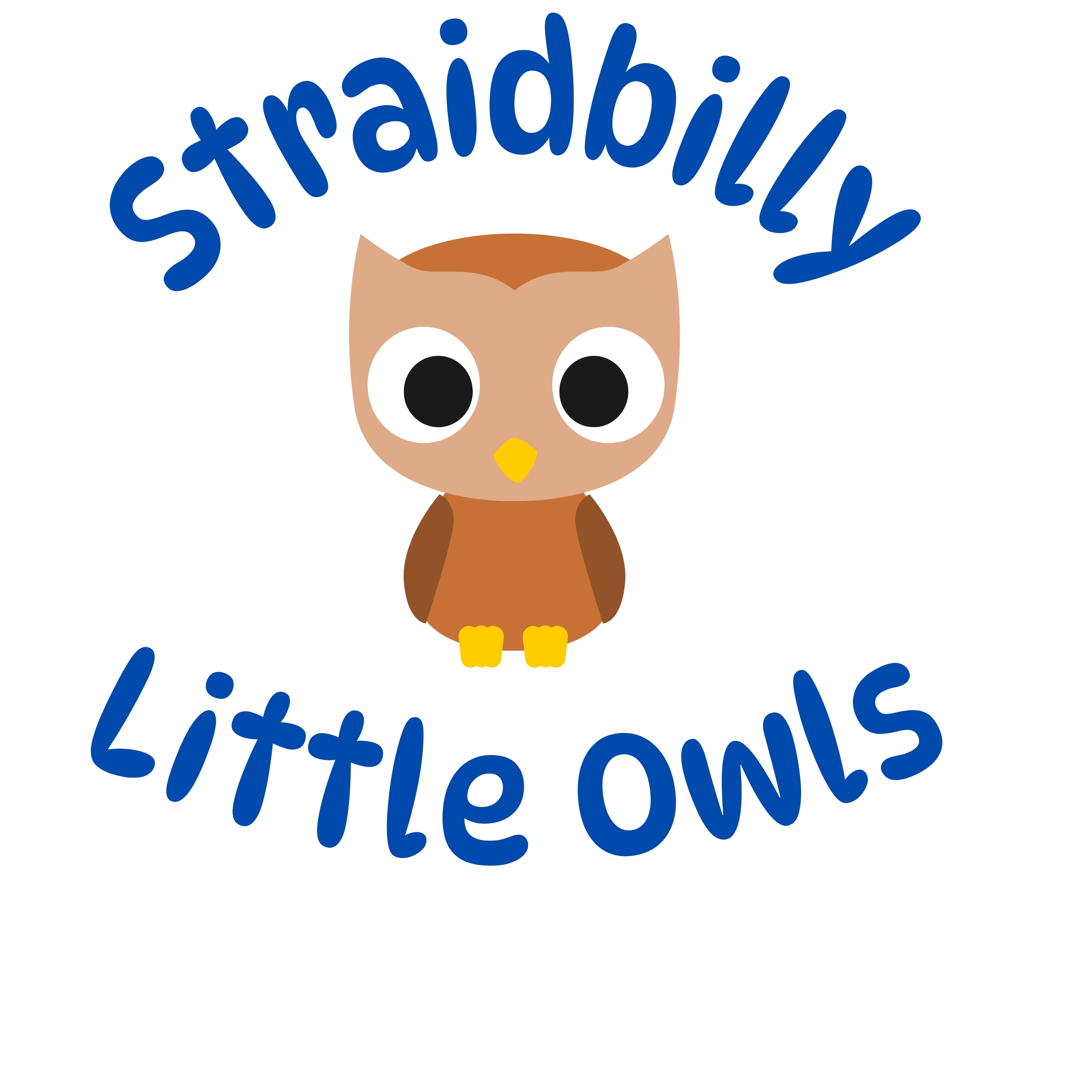 Little Owls Reception Class